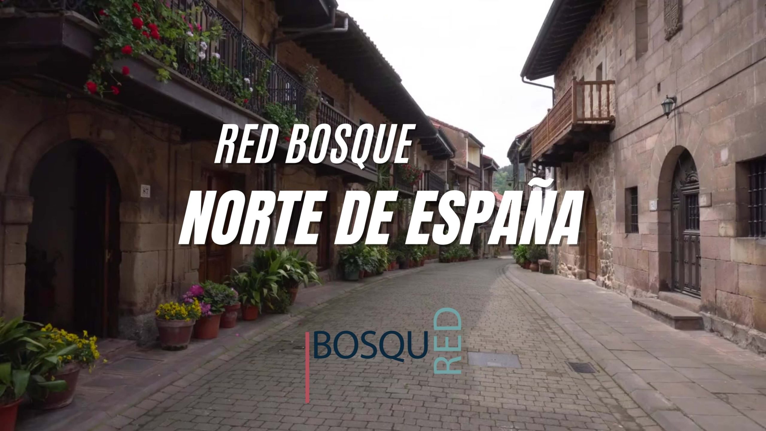 Blog Red Bosque Norte de Espana scaled
