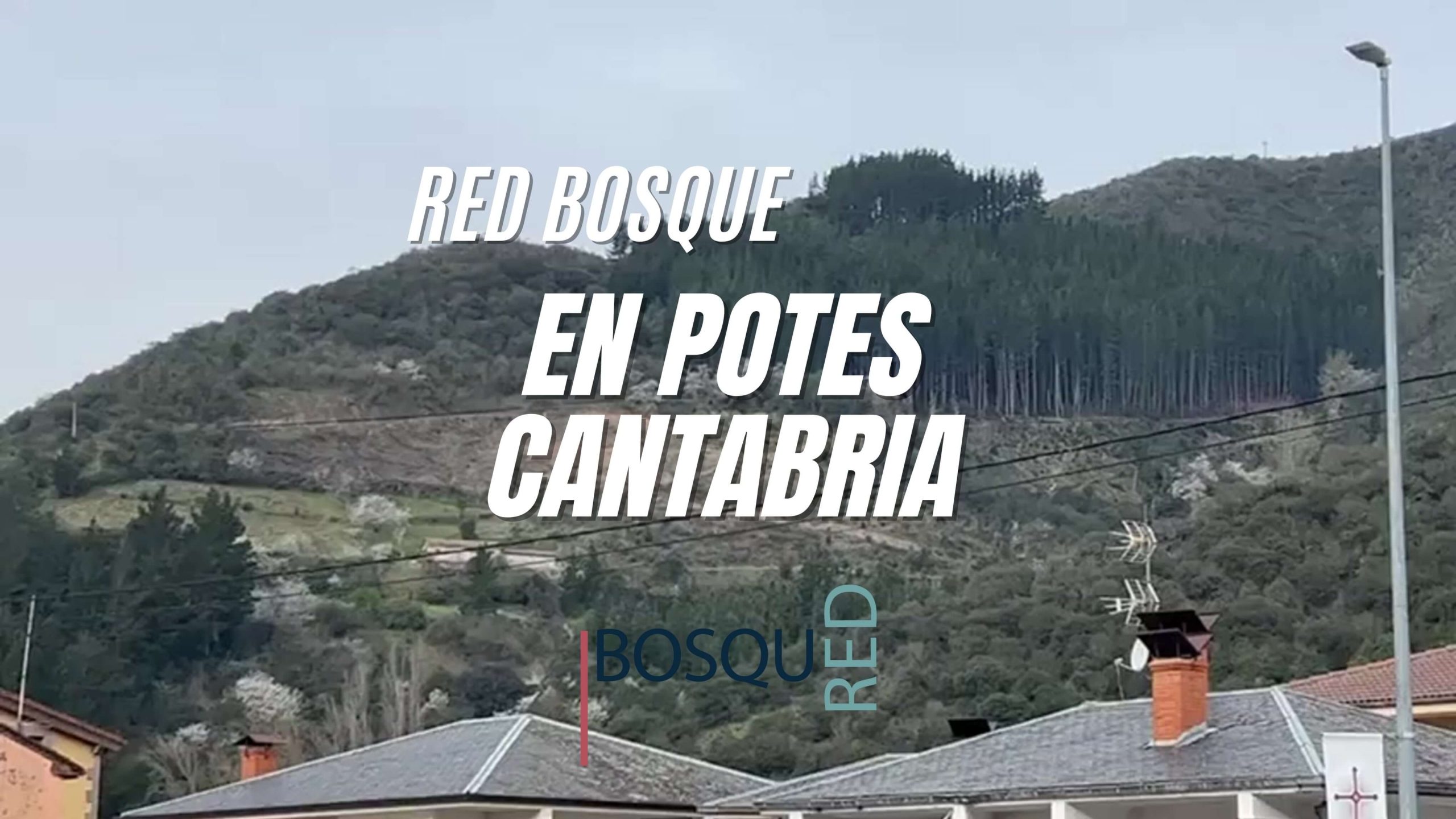 Blog Red Bosque Potes scaled
