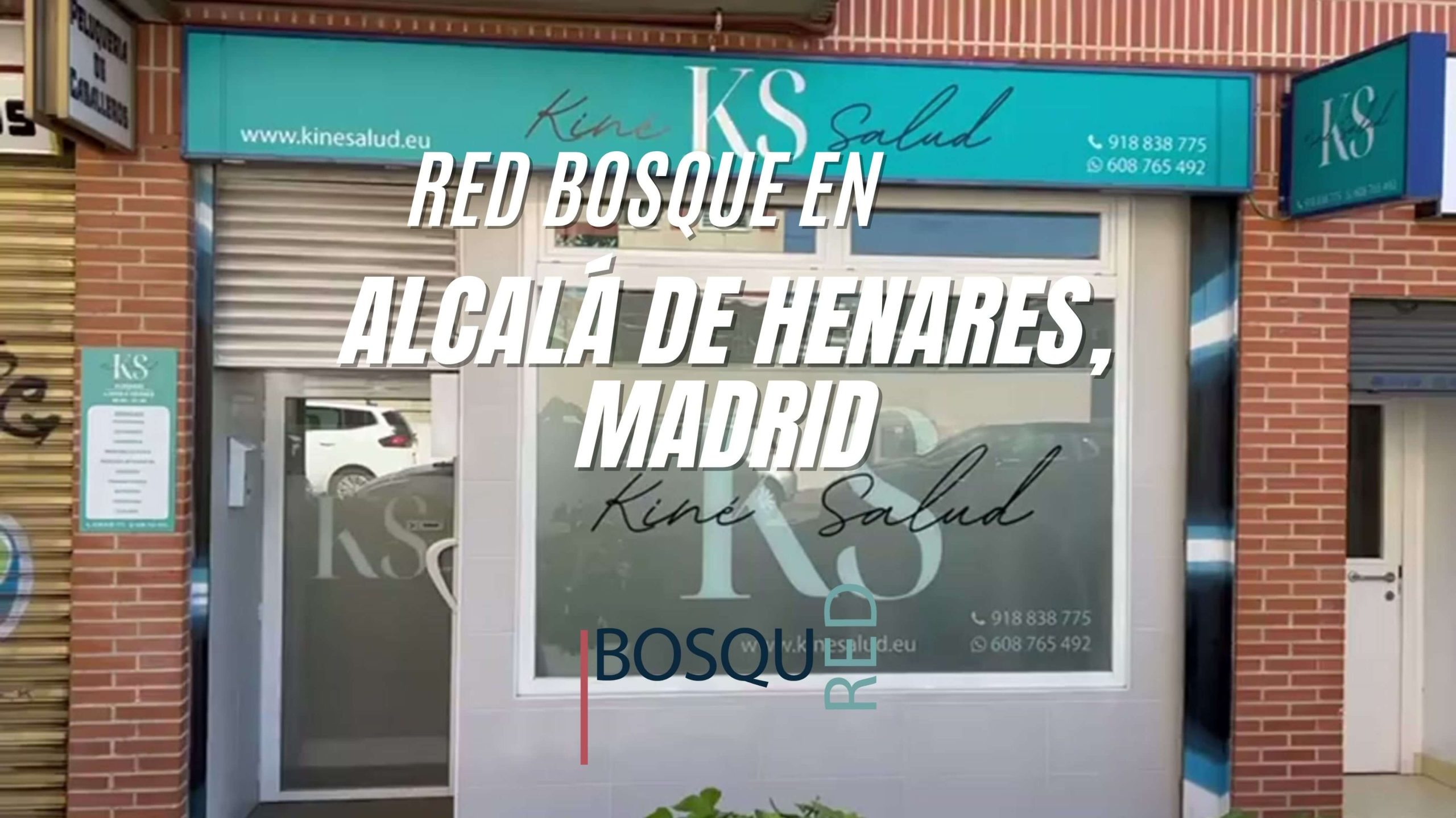 Blog Red Bosque en Kine Salud scaled