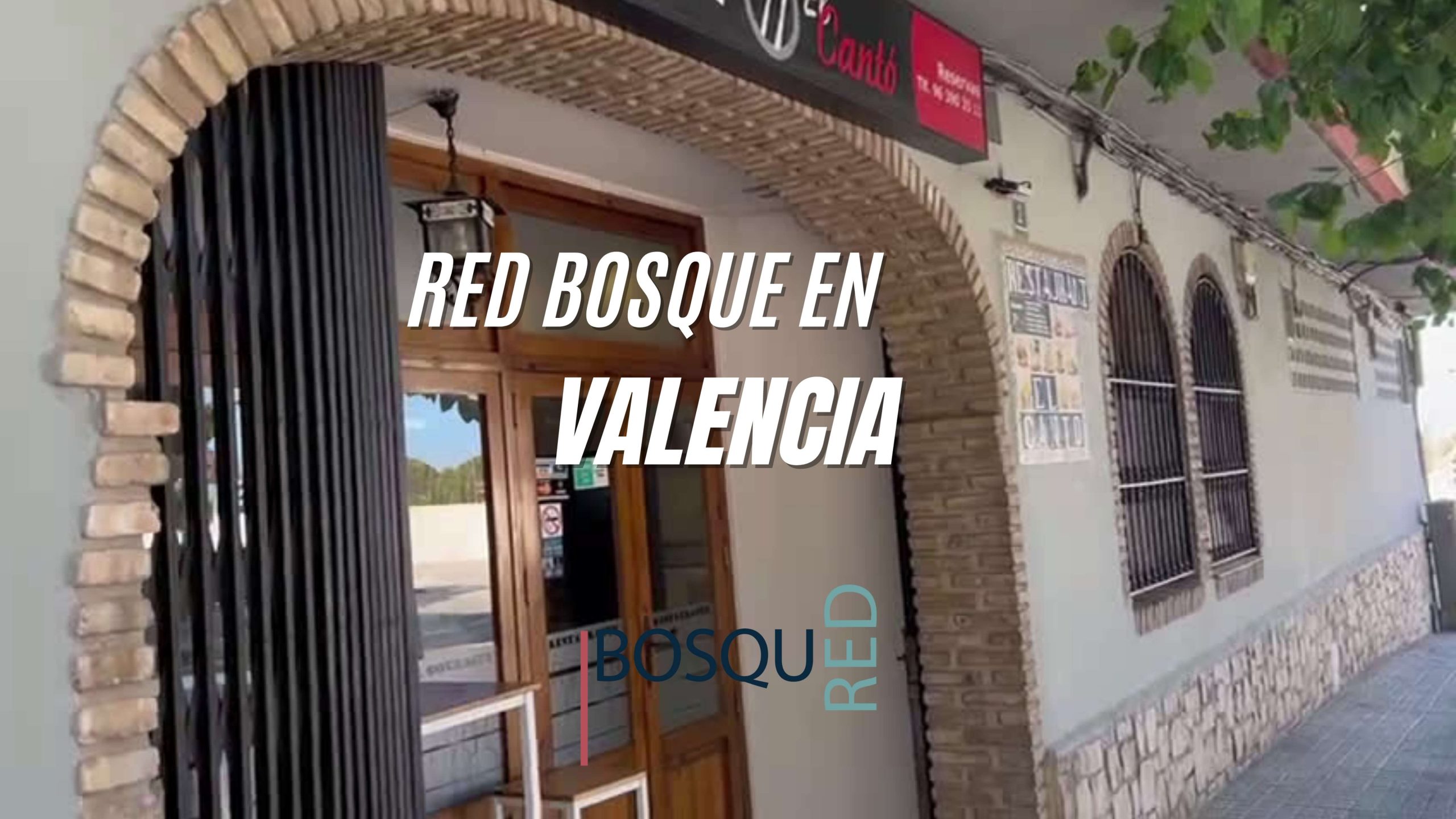 Blog Red Bosque en Valencia scaled